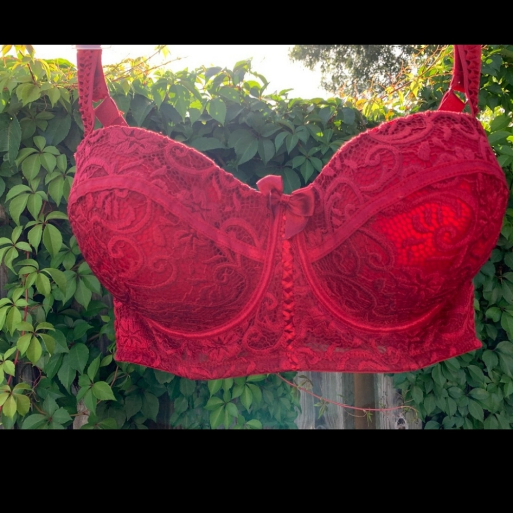 NWOT Adore Me 40DD Red Lace Bra